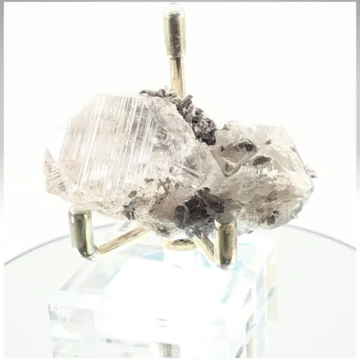 specimen video
