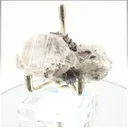 specimen video