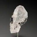 specimen video