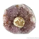 Fluorite Coated With Quartz Druse, on Amethyst - image 1
