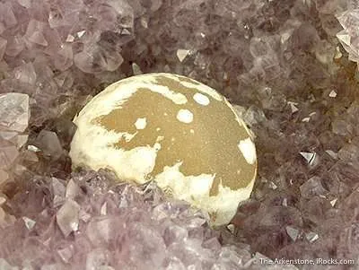 Fluorite Coated With Quartz Druse, on Amethyst - image 2