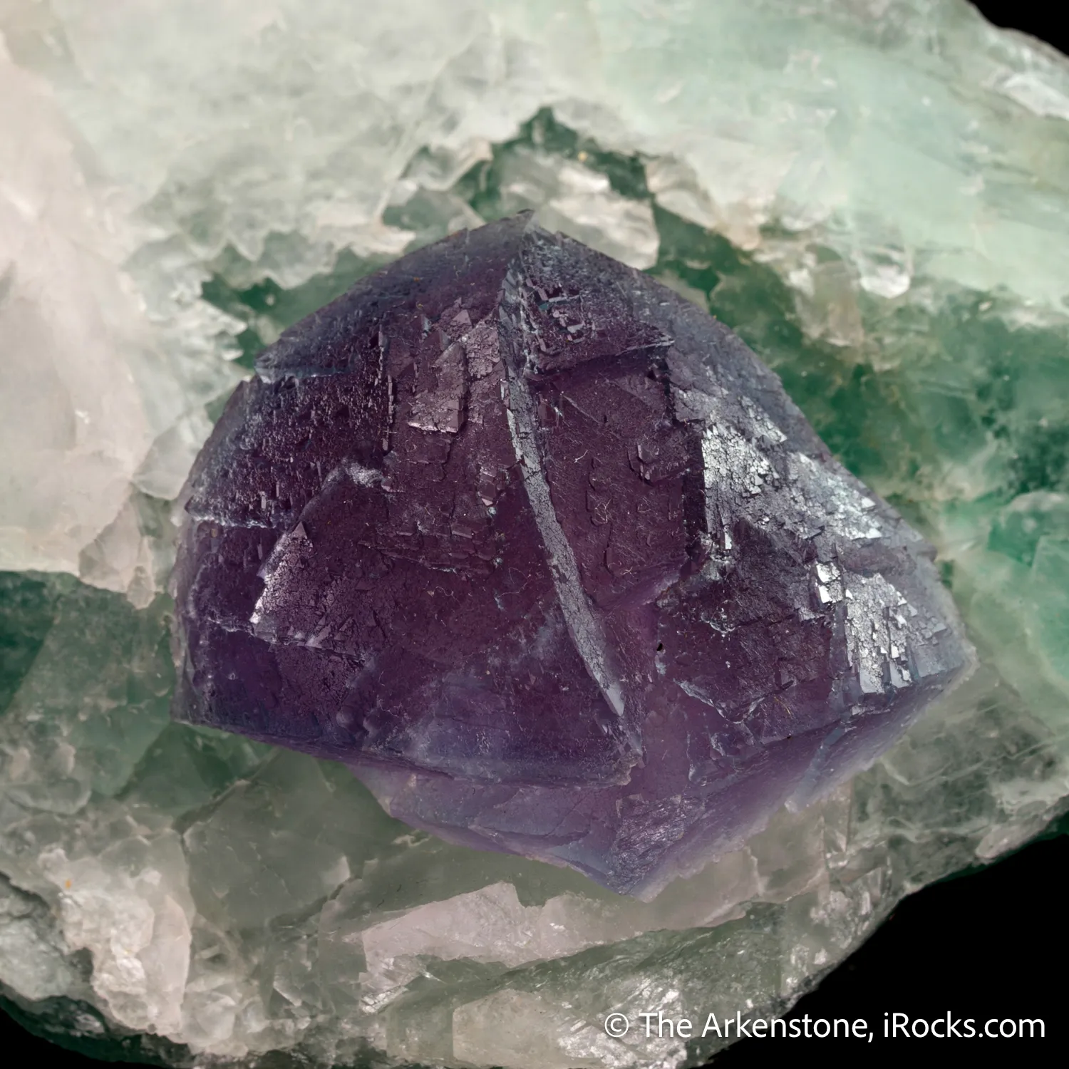 Fluorite (curved crystal habit) on Fluorite - image 6