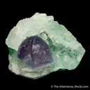 Fluorite (curved crystal habit) on Fluorite - image 5