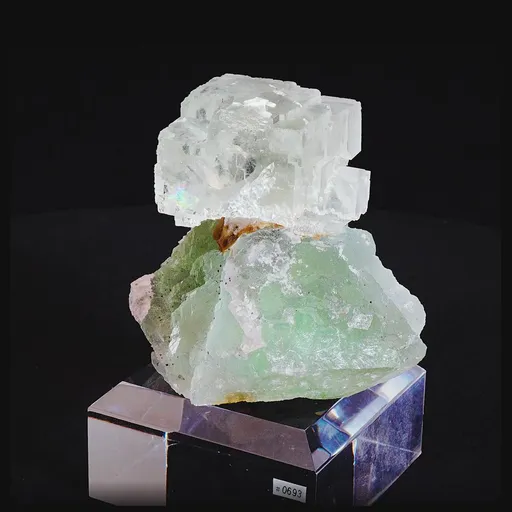 specimen video
