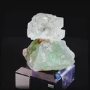 specimen video