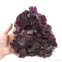 Fluorite - image 1