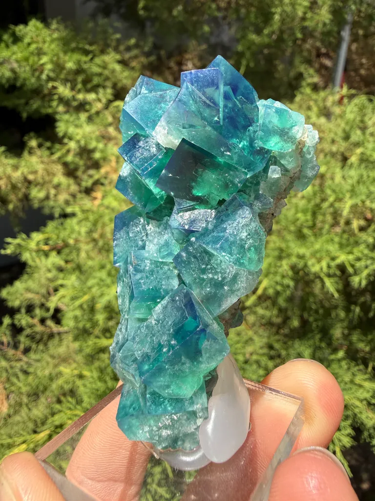 Fluorite - image 4