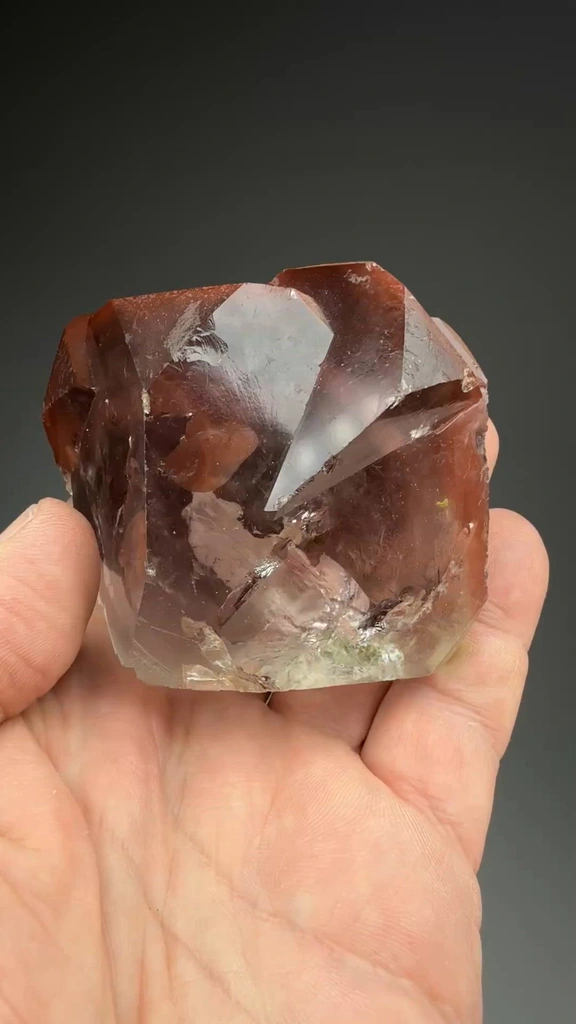 specimen video