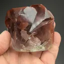 specimen video