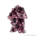 Fluorite - image 1