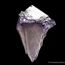 Fluorite (etched corner) - image 6