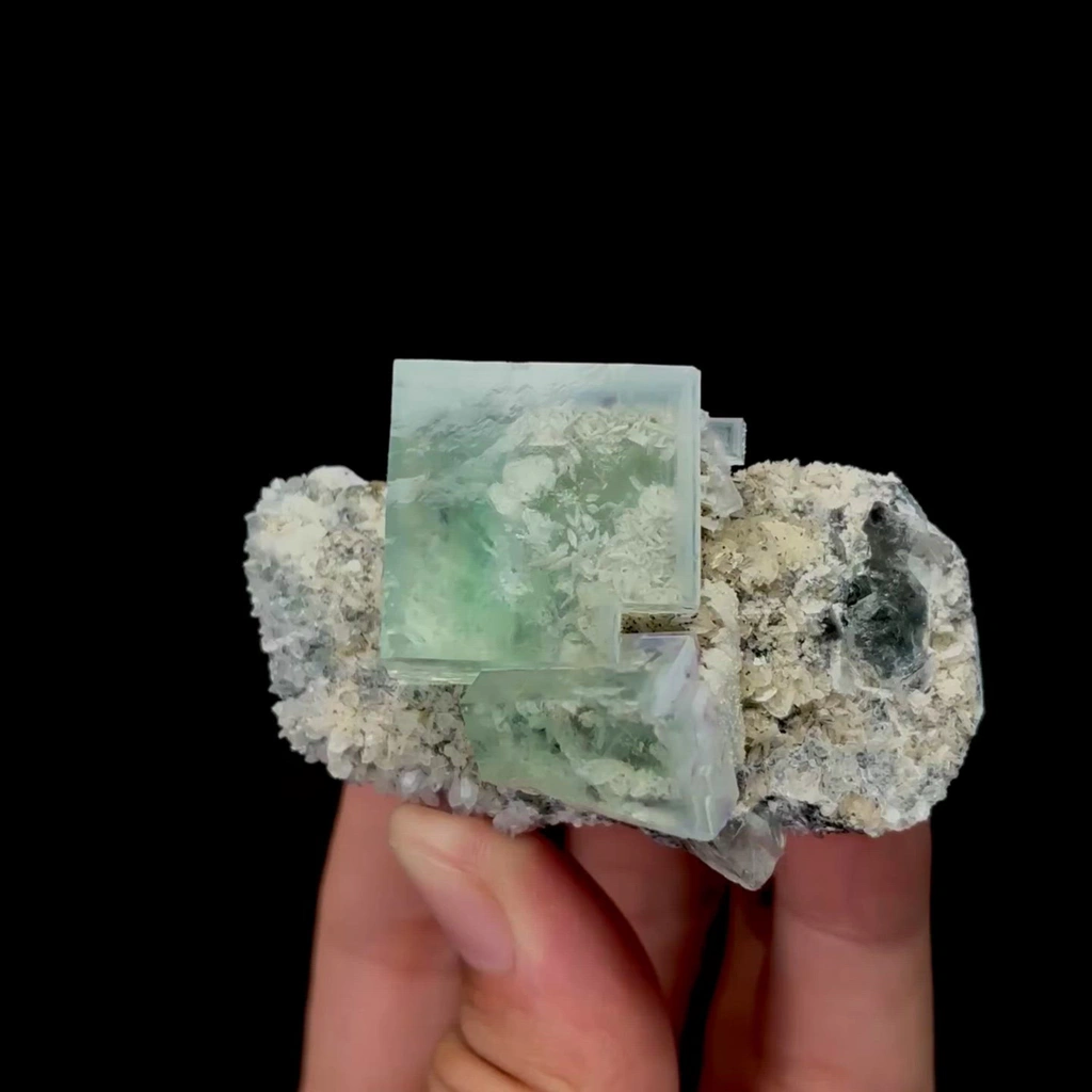 specimen video