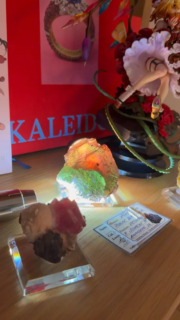 specimen video