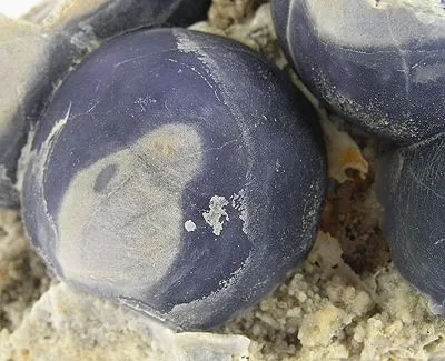 Fluorite - image 2