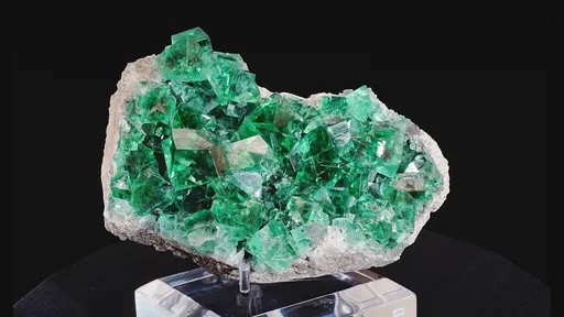 specimen video