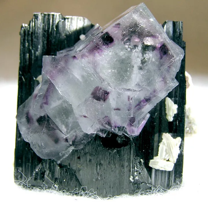 Fluorite, Ferberite image