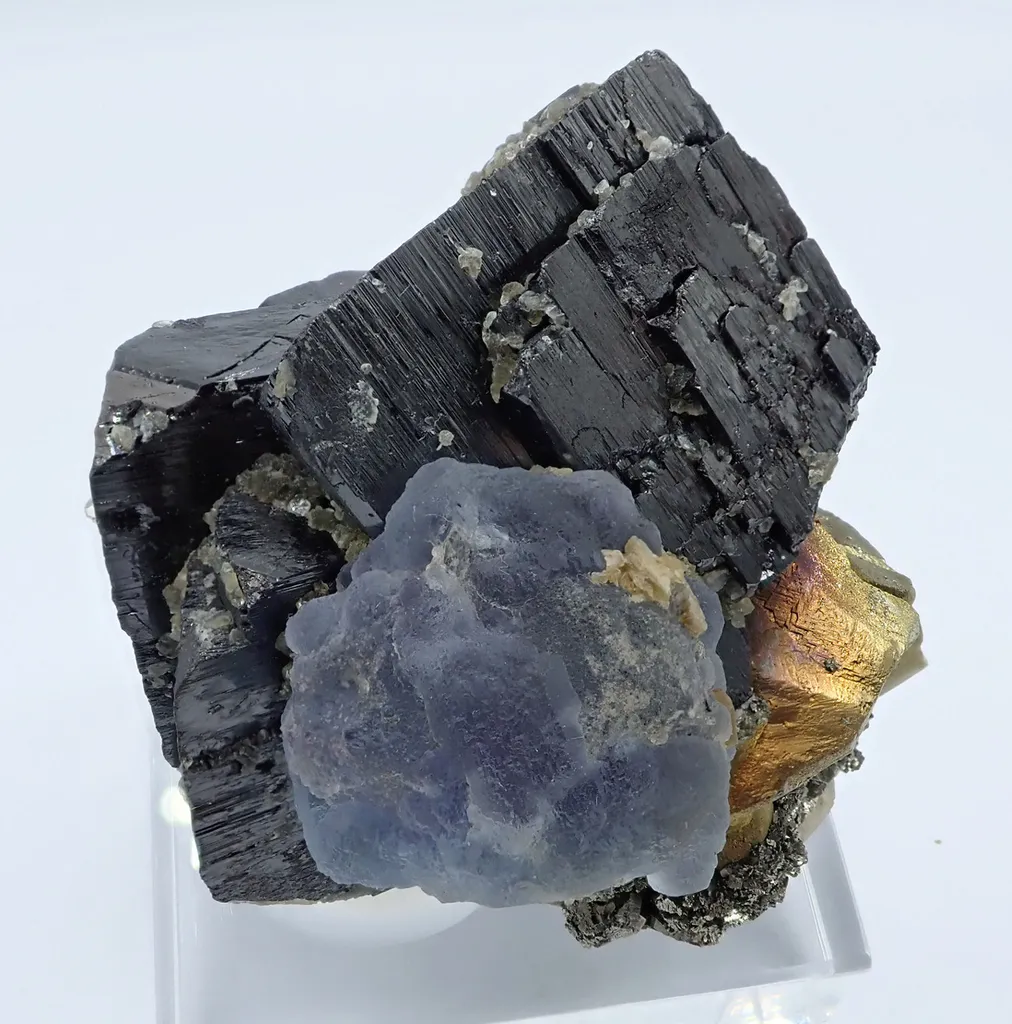 Fluorite, Ferberite and Chalcopyrite image