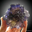 Fluorite (fl) and Chalcopyrite with Calcite - image 1