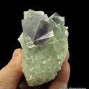Fluorite (fl) on Fluorite (fl), with Galena and Marcasite - image 2