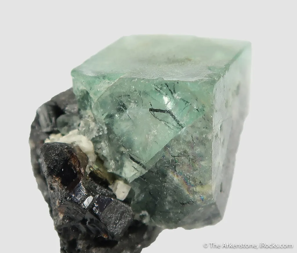 Fluorite (fl) with Ferberite (?) inclusions, on Cassiterite with Chalcopyrite and Scheelite - image 2