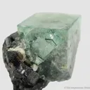 Fluorite (fl) with Ferberite (?) inclusions, on Cassiterite with Chalcopyrite and Scheelite - image 2