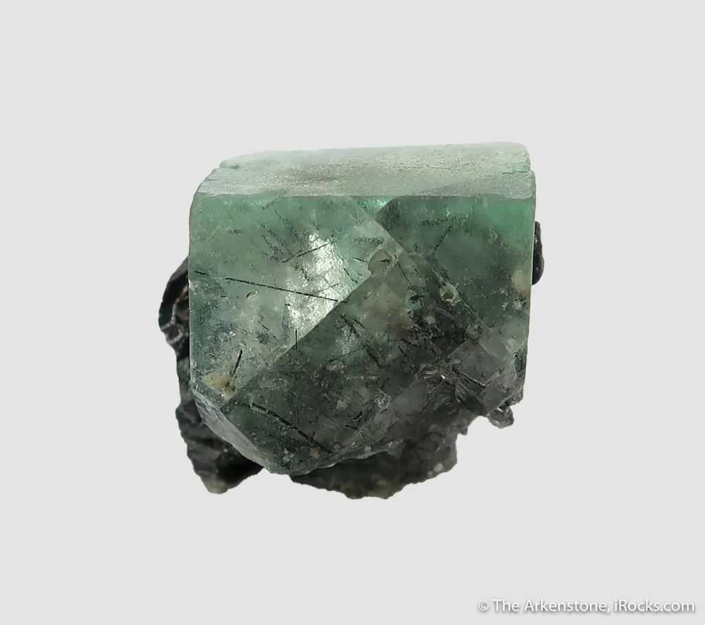 Fluorite (fl) with Ferberite (?) inclusions, on Cassiterite with Chalcopyrite and Scheelite - image 3