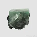 Fluorite (fl) with Ferberite (?) inclusions, on Cassiterite with Chalcopyrite and Scheelite - image 3