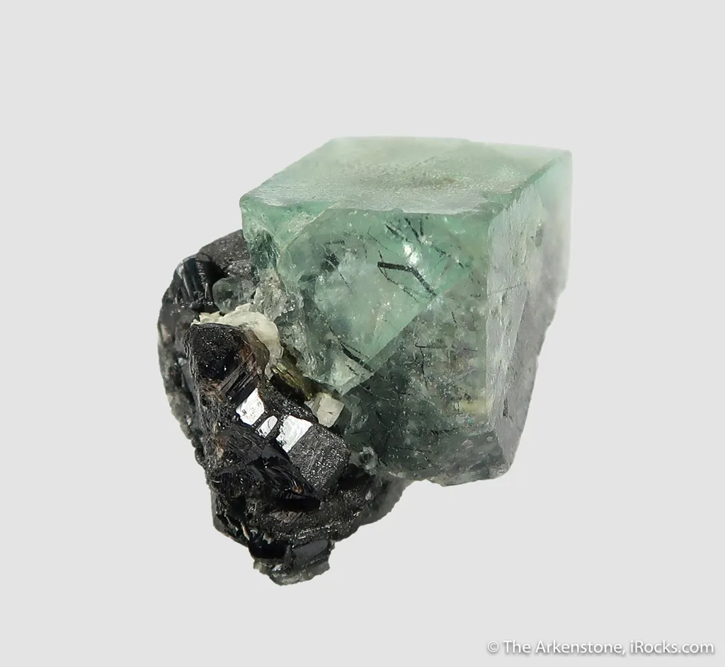Fluorite (fl) with Ferberite (?) inclusions, on Cassiterite with Chalcopyrite and Scheelite image