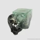 Fluorite (fl) with Ferberite (?) inclusions, on Cassiterite with Chalcopyrite and Scheelite - image 1