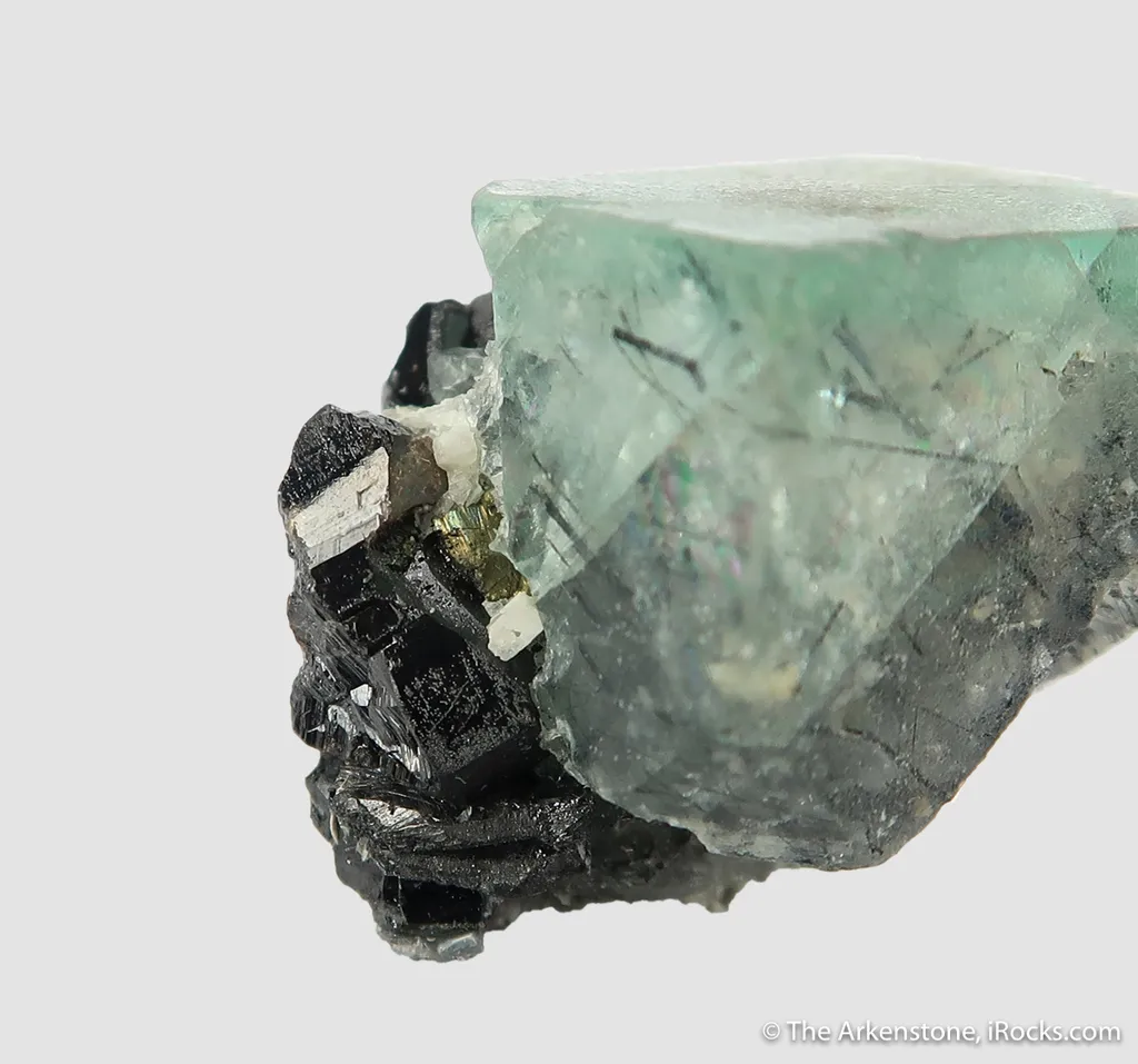 Fluorite (fl) with Ferberite (?) inclusions, on Cassiterite with Chalcopyrite and Scheelite - image 6