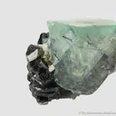 Fluorite (fl) with Ferberite (?) inclusions, on Cassiterite with Chalcopyrite and Scheelite - image 6