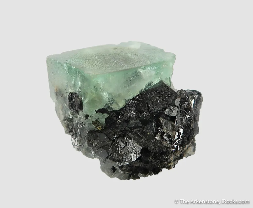Fluorite (fl) with Ferberite (?) inclusions, on Cassiterite with Chalcopyrite and Scheelite - image 5