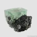 Fluorite (fl) with Ferberite (?) inclusions, on Cassiterite with Chalcopyrite and Scheelite - image 5