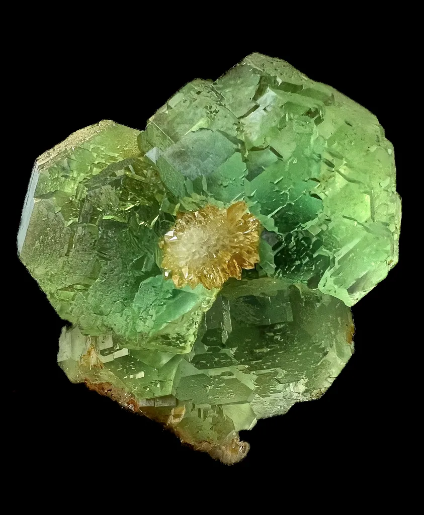 Fluorite “Flower” image