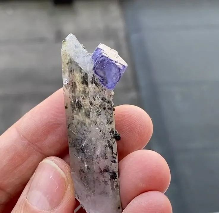 Fluorite, Fluorapatite and Quartz - image 5