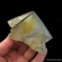 Fluorite (fluorescent) - image 3