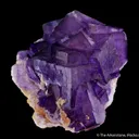Fluorite (fluorescent) - image 3