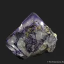 Fluorite (fluorescent)  - circa early 1900s - image 5