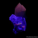 Fluorite (fluorescent) on Quartz - image 5