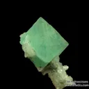 Fluorite (fluorescent) on Quartz - image 5