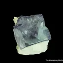 Fluorite (fluorescent) on Quartz - image 4