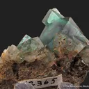 Fluorite (fluorescent) with elongated habit - image 6