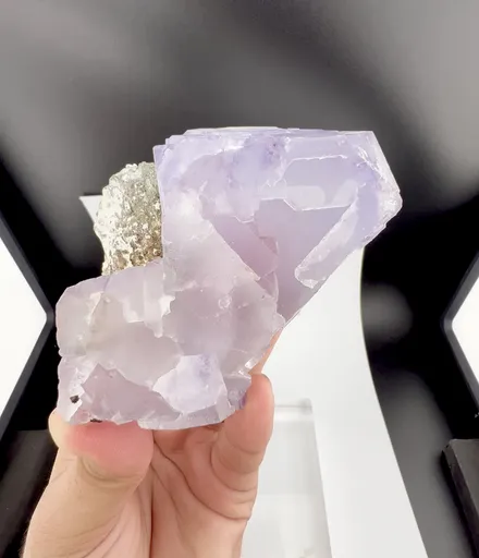 specimen video