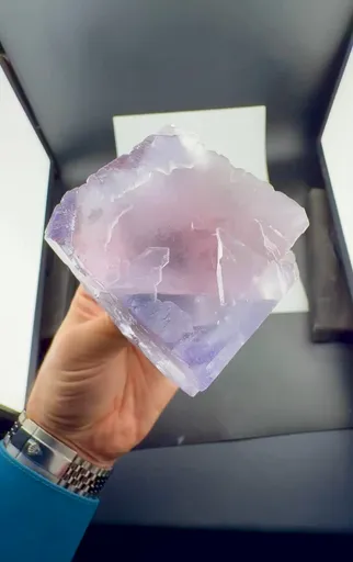 specimen video