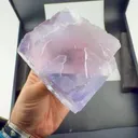 specimen video