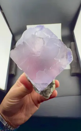 specimen video