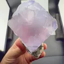 specimen video