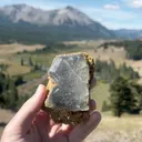 specimen video