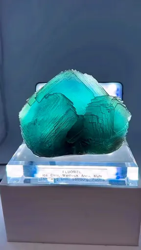 specimen video