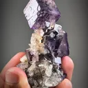 specimen video